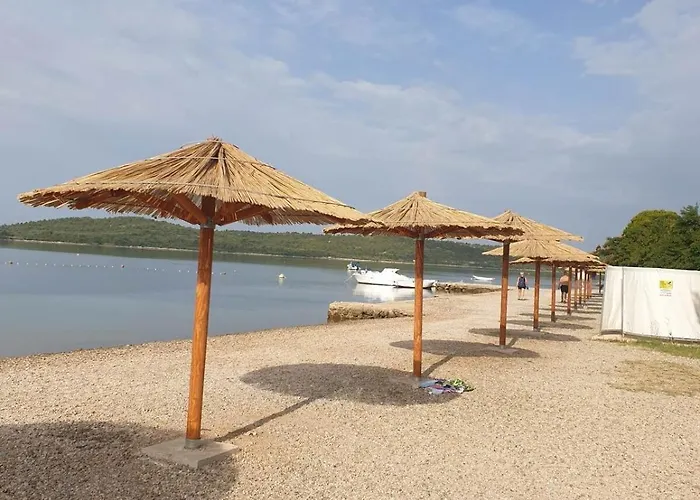 Simba Terasa&parking Apartament *